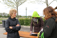 ksv-fitlauf_2016_web_06