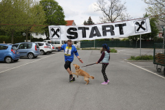 ksv-fitlauf_2016_web_57