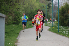 fitlauf_4.2014_024