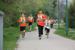 fitlauf_4.2014_026