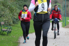 ksv-fitlauf_20141026_web_17